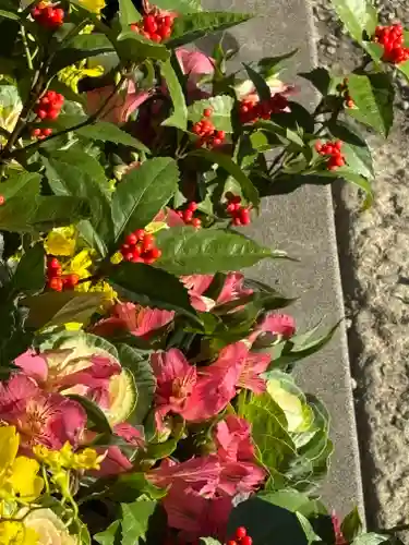 上尾御嶽神社の手水舎