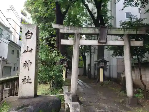荻窪白山神社の鳥居