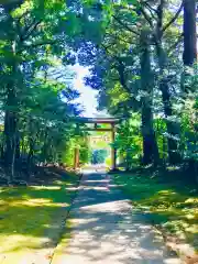 成田熊野神社(千葉県)