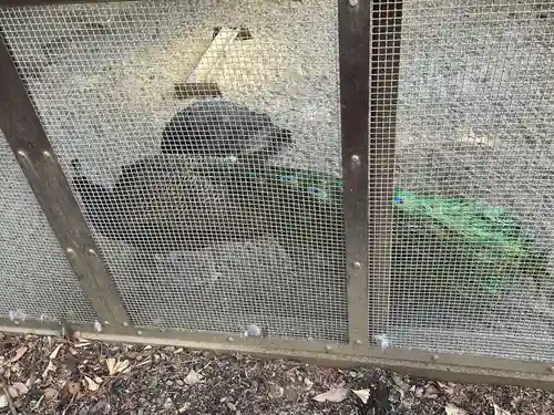 岩槻久伊豆神社(埼玉県)