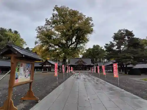 北海道護國神社の七五三参