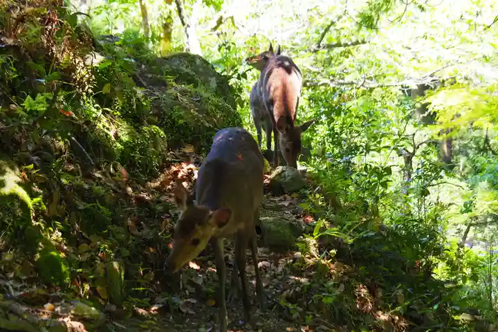 青岸渡寺(和歌山県)