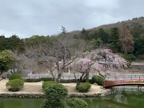 普賢院の庭園