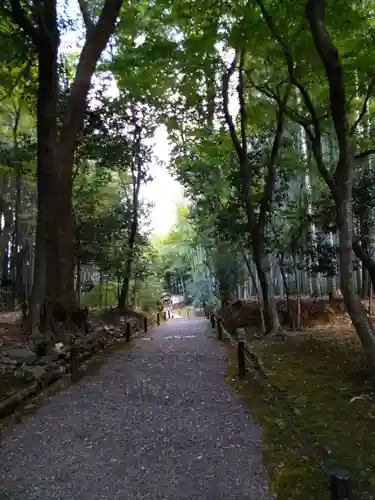 地蔵院(京都府)