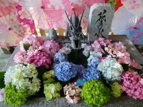 札幌諏訪神社の手水舎