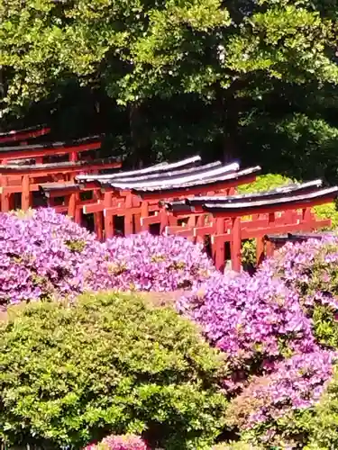 根津神社(東京都)