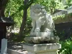 常安寺の狛犬