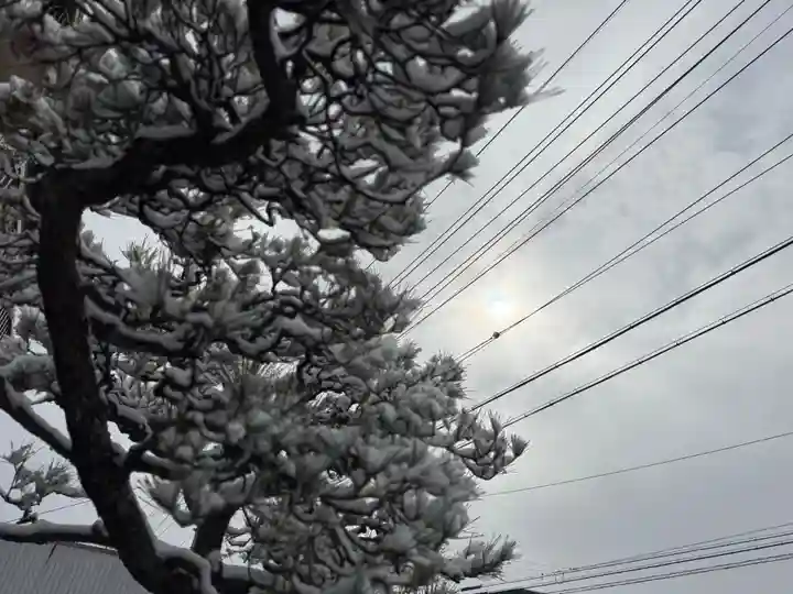 西方山極楽寺(岐阜県)
