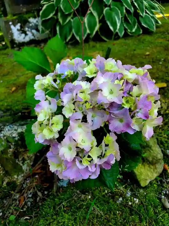 石都々古和気神社の自然