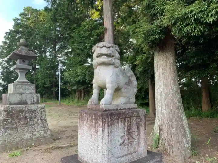 瀧口神社の狛犬