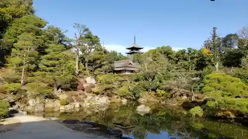 仁和寺の庭園