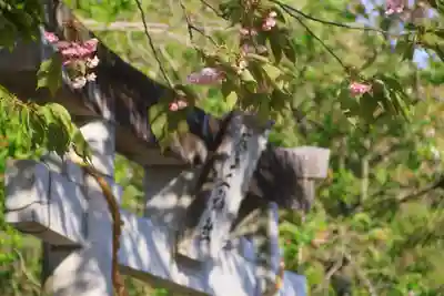 大六天麻王神社の鳥居