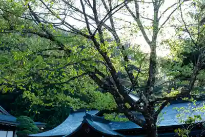 諏訪大社(長野県)