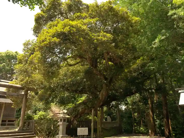 莫越山神社の自然