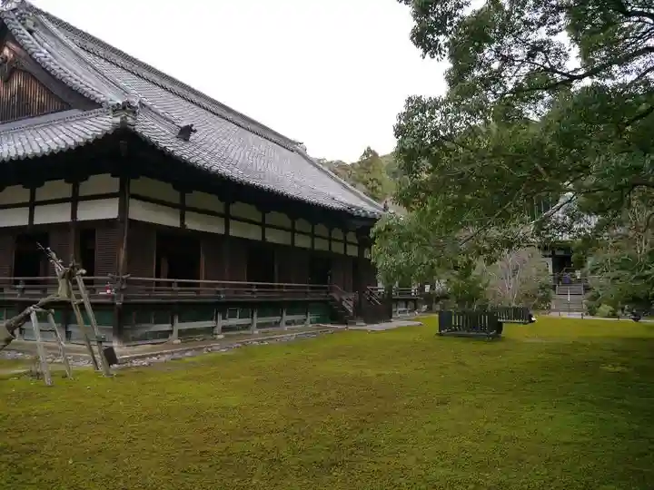 青蓮院門跡の庭園
