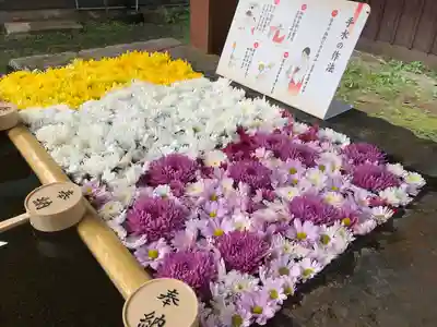 土津神社｜こどもと出世の神さま(福島県)