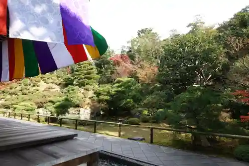 根来寺 智積院の庭園