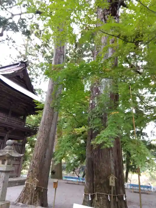 洲原神社(岐阜県)