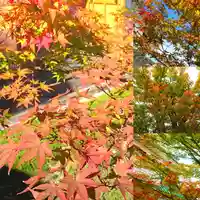 寿量山 速成寺の景色