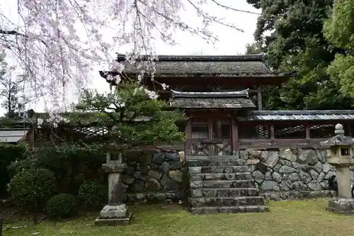 醍醐寺(京都府)