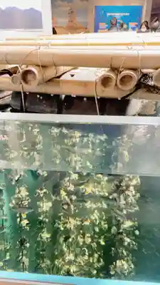 大願寺(広島県)