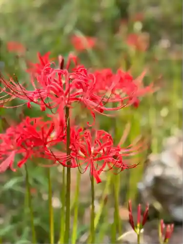 仏隆寺(奈良県)