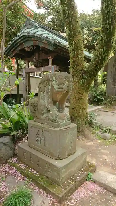 高幡不動尊 金剛寺の狛犬