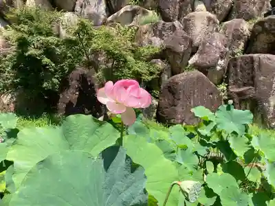 観音正寺(滋賀県)