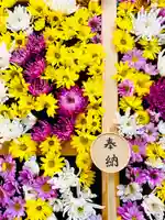 土津神社|こどもと出世の神さまの手水舎