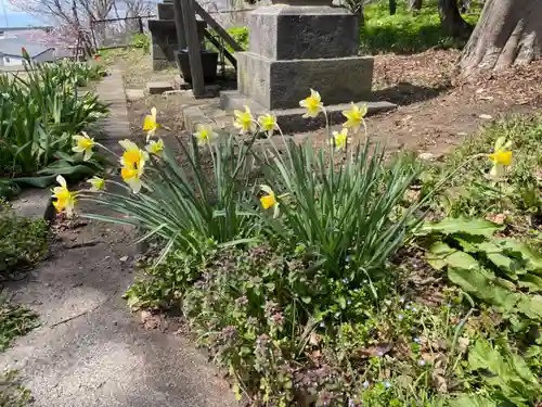 豊浦神社(北海道)