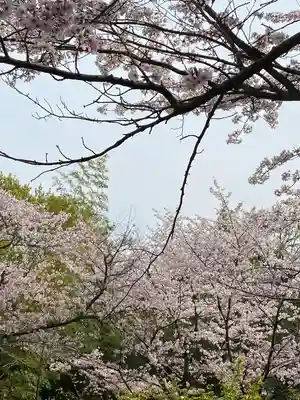 お籠り堂の自然