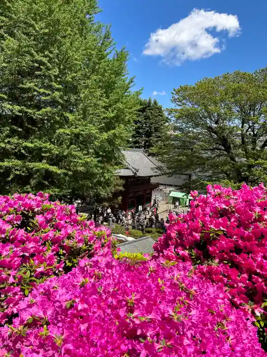 根津神社の自然