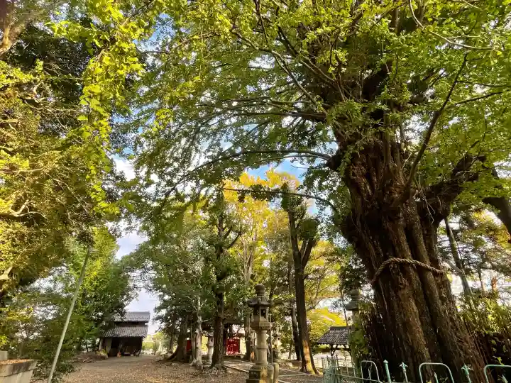 鞆江神社(明地)(愛知県)