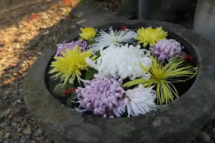 離宮八幡宮(京都府)