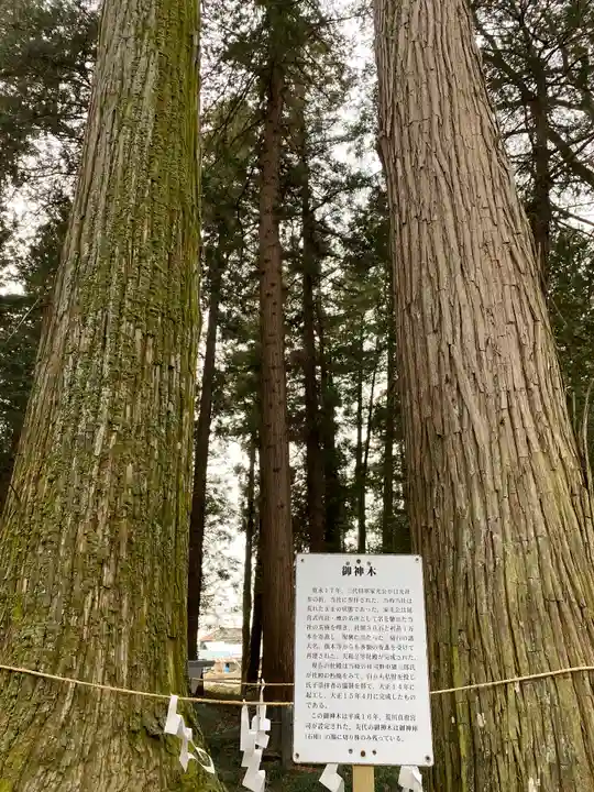 大神神社の自然