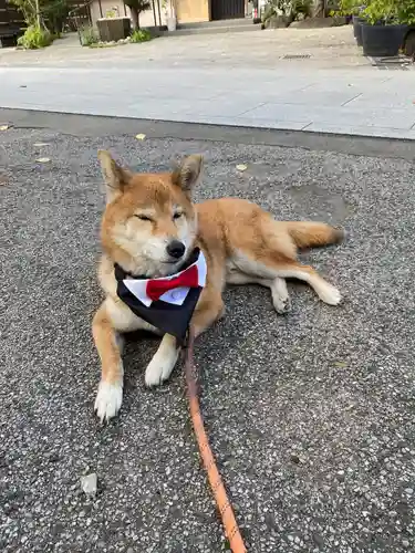感通寺(東京都)