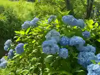 国宝 大法寺(長野県)