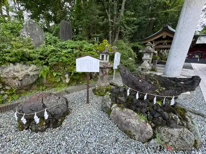 富士山東口本宮 冨士浅間神社の自然