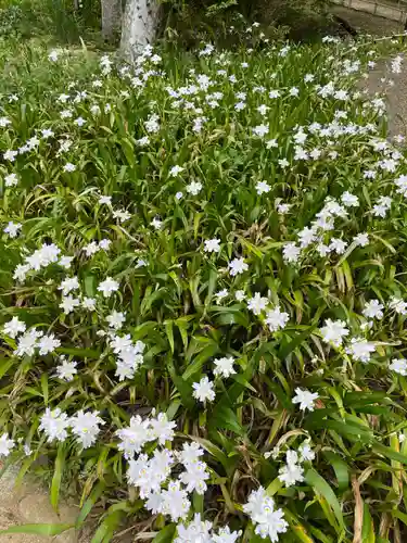 歌泉堂（春日大社神苑萬葉植物園内鎮座）(奈良県)