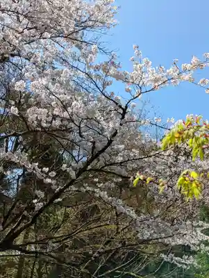 龍安寺(京都府)