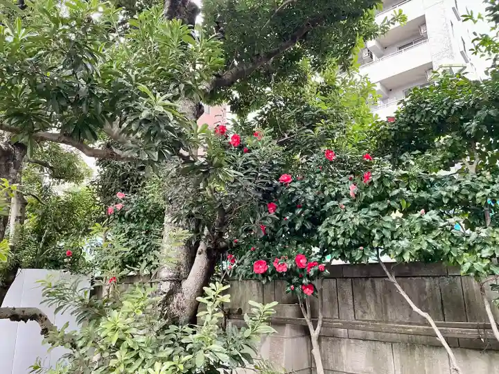 蓮乗寺(東京都)