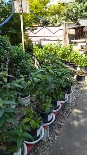 行願寺（革堂）(京都府)