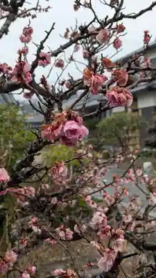 順應寺(滋賀県)