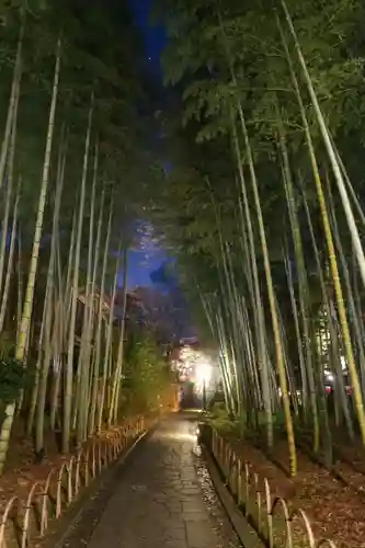 指月殿(静岡県)