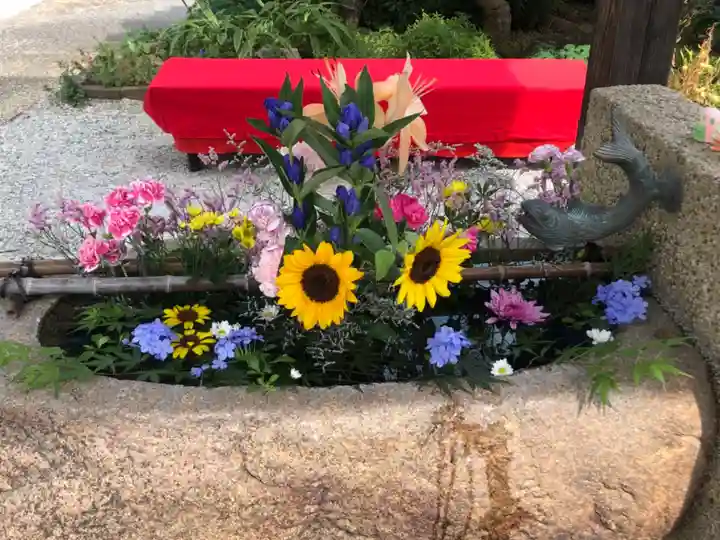水堂須佐男神社の手水舎