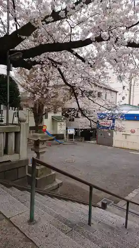 元町厳島神社の自然
