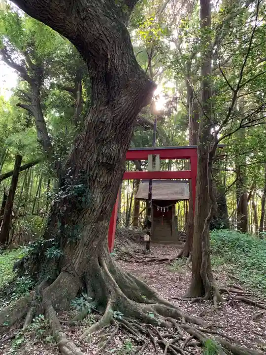 浅間神社(千葉県)