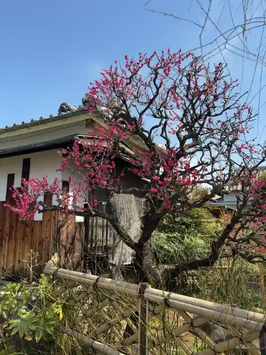 芳林寺(埼玉県)