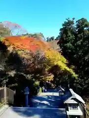 秋葉山本宮 秋葉神社 上社の建物その他