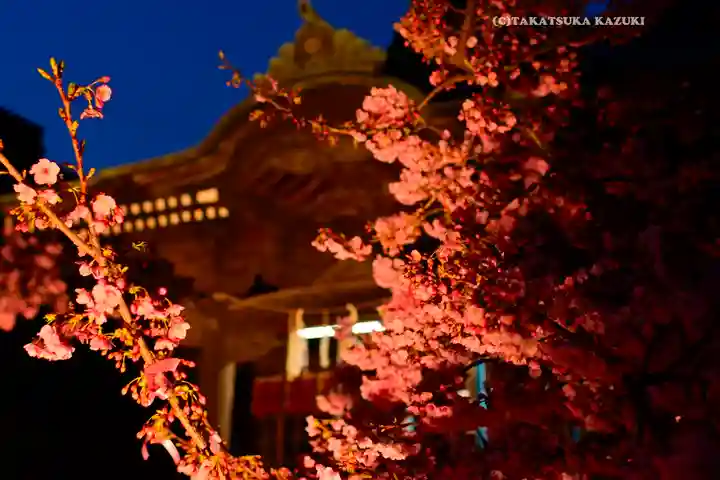 桜神宮のその他建物